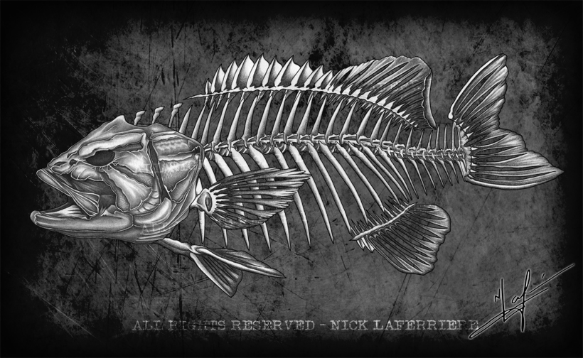 I thought that Smallmouth Bass fanatics needed a new spin on bass art. Introducing the smallie skeleton, exclusive to FISHBUM Outfitters branded apparel. Original pencil artwork by Nick Laferriere