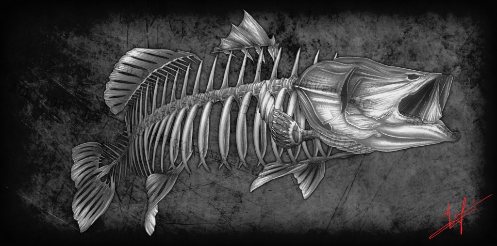 Barramundi Nick Laferriere