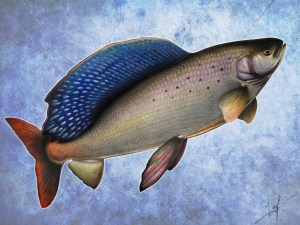 grayling nick laferriere