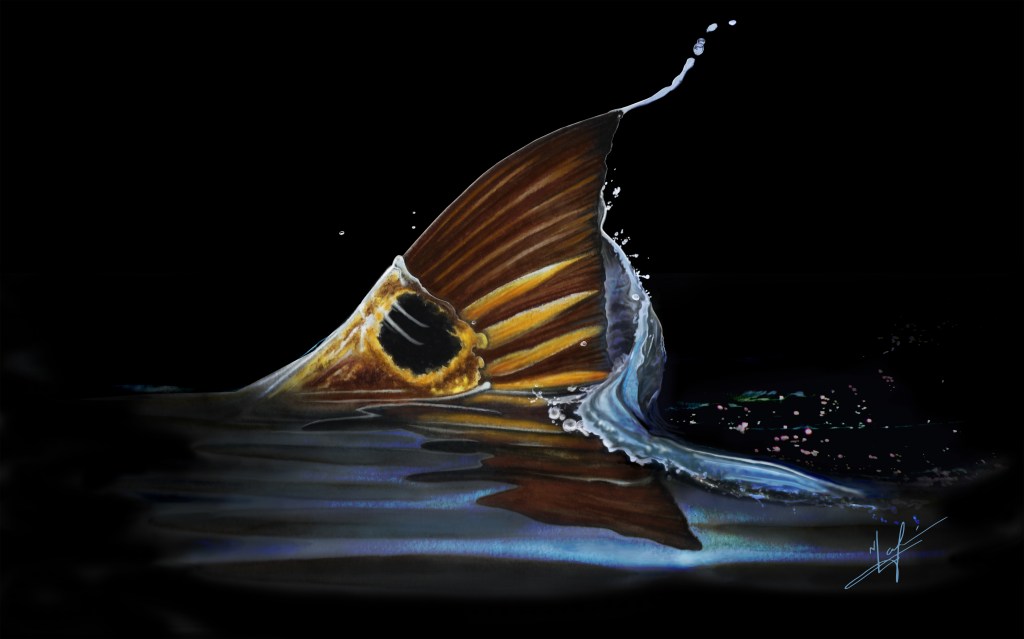 redfish tailing dark