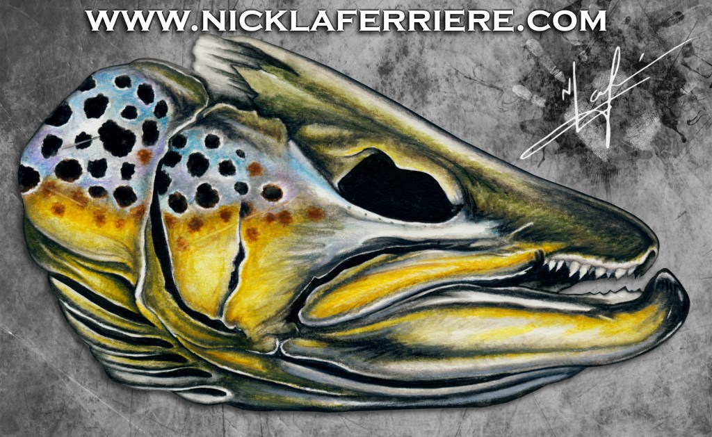 Brown Trout Skull Nick Laferriere