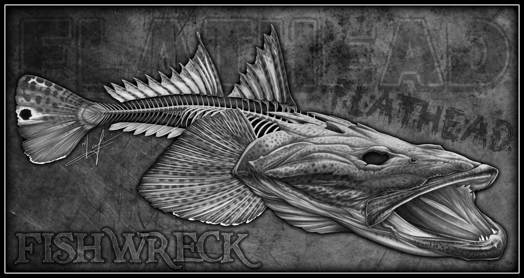 flathead skeleton nick laferriere