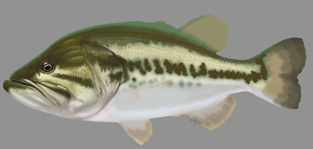 Screen Shot 2014-11-04 at 12.14.58 PM