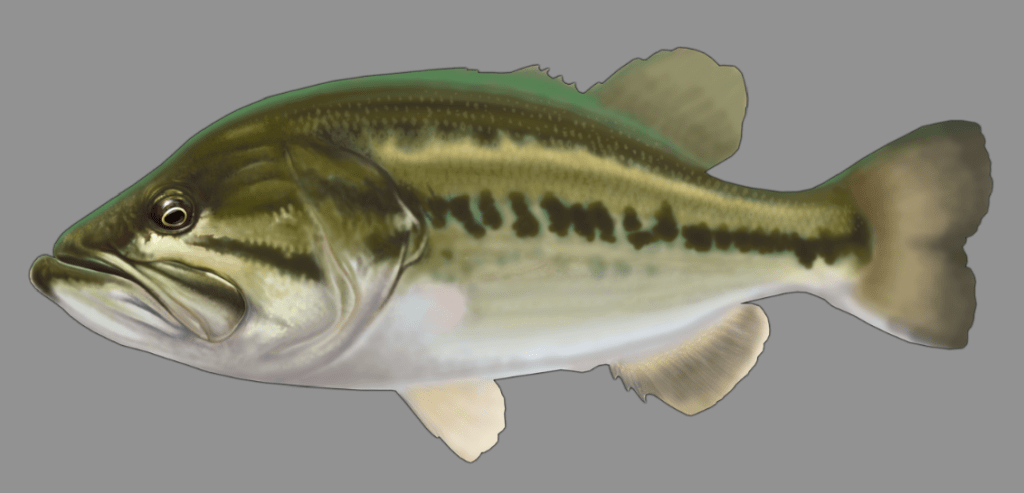 Screen Shot 2014-11-04 at 5.59.17 PM