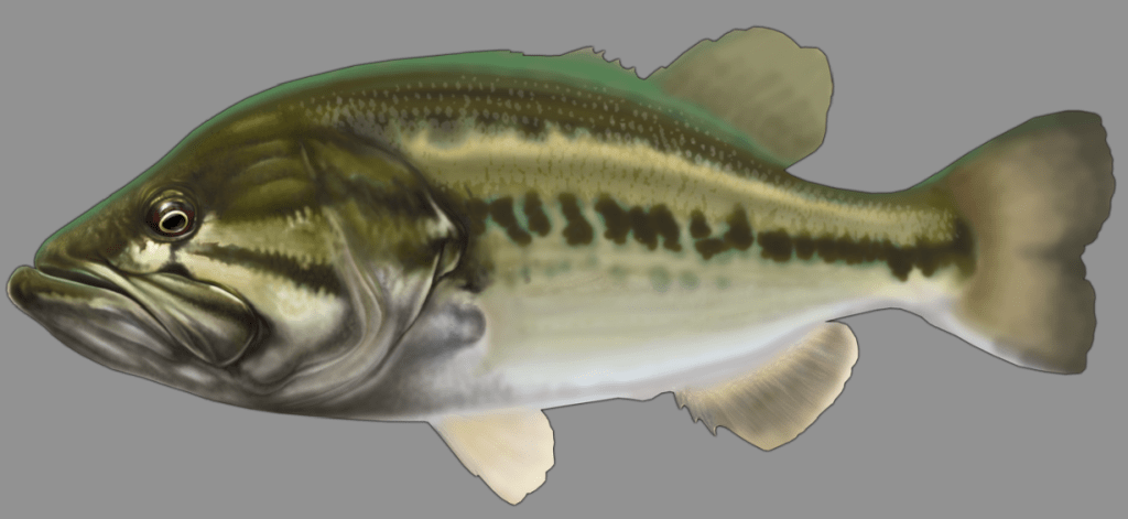 Screen Shot 2014-11-06 at 5.53.32 PM