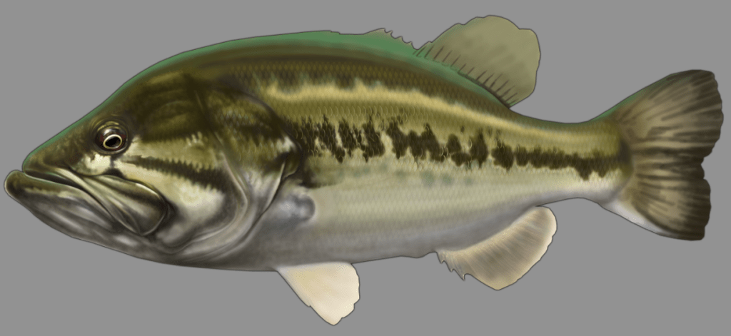 Screen Shot 2014-11-07 at 9.50.52 PM