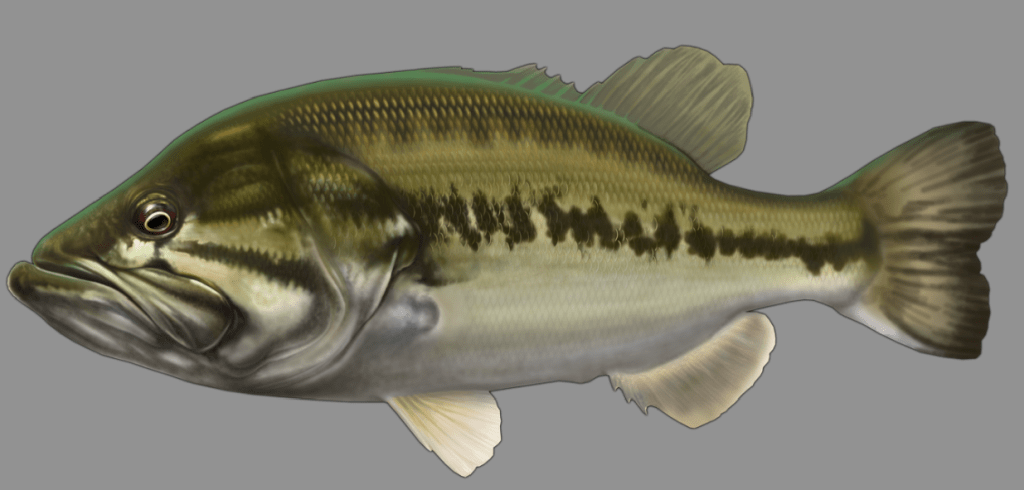 Screen Shot 2014-11-08 at 8.12.11 PM