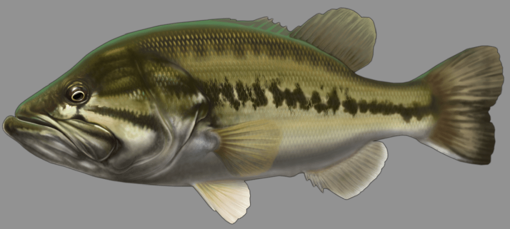 Screen Shot 2014-11-12 at 8.48.24 PM