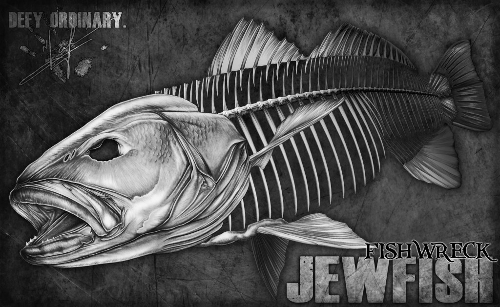 Jewfish Mulloway Skeleton 