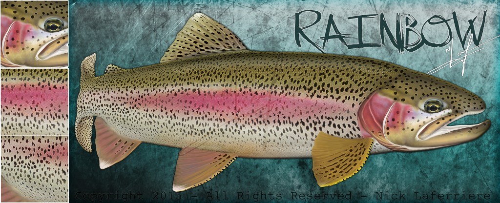rainbow trout promo smaller