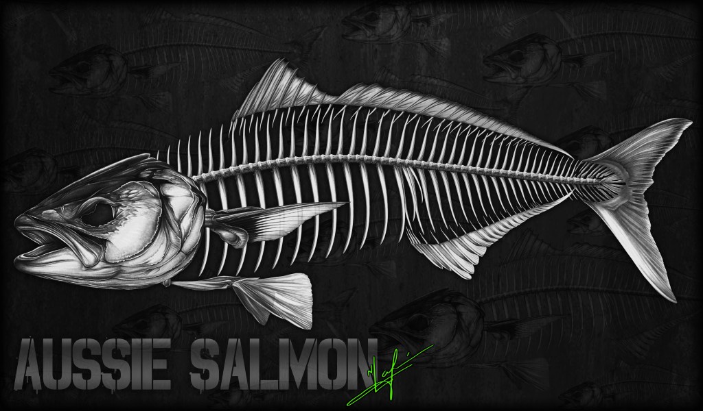 australian salmon skeleton