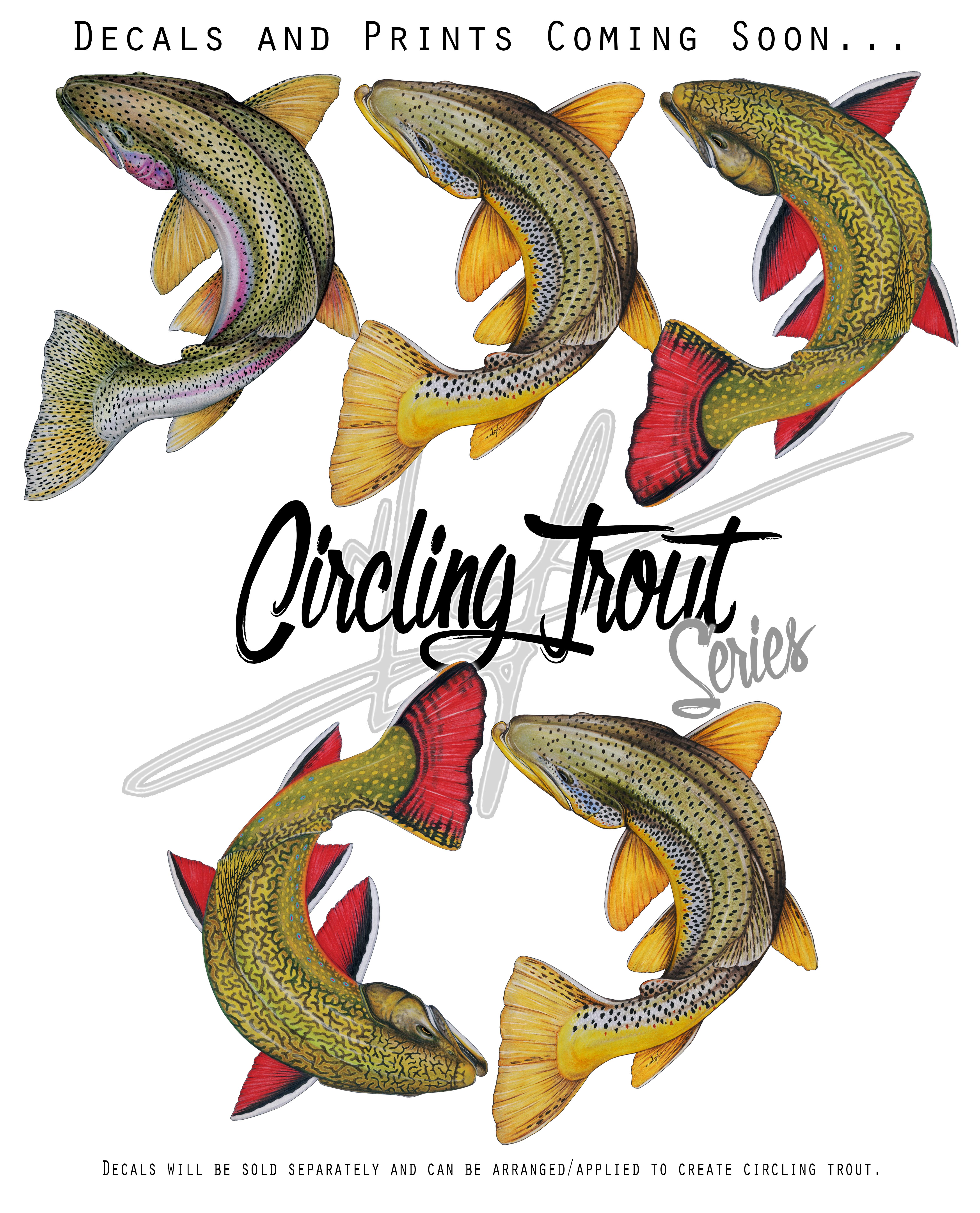Circling Trout Promo