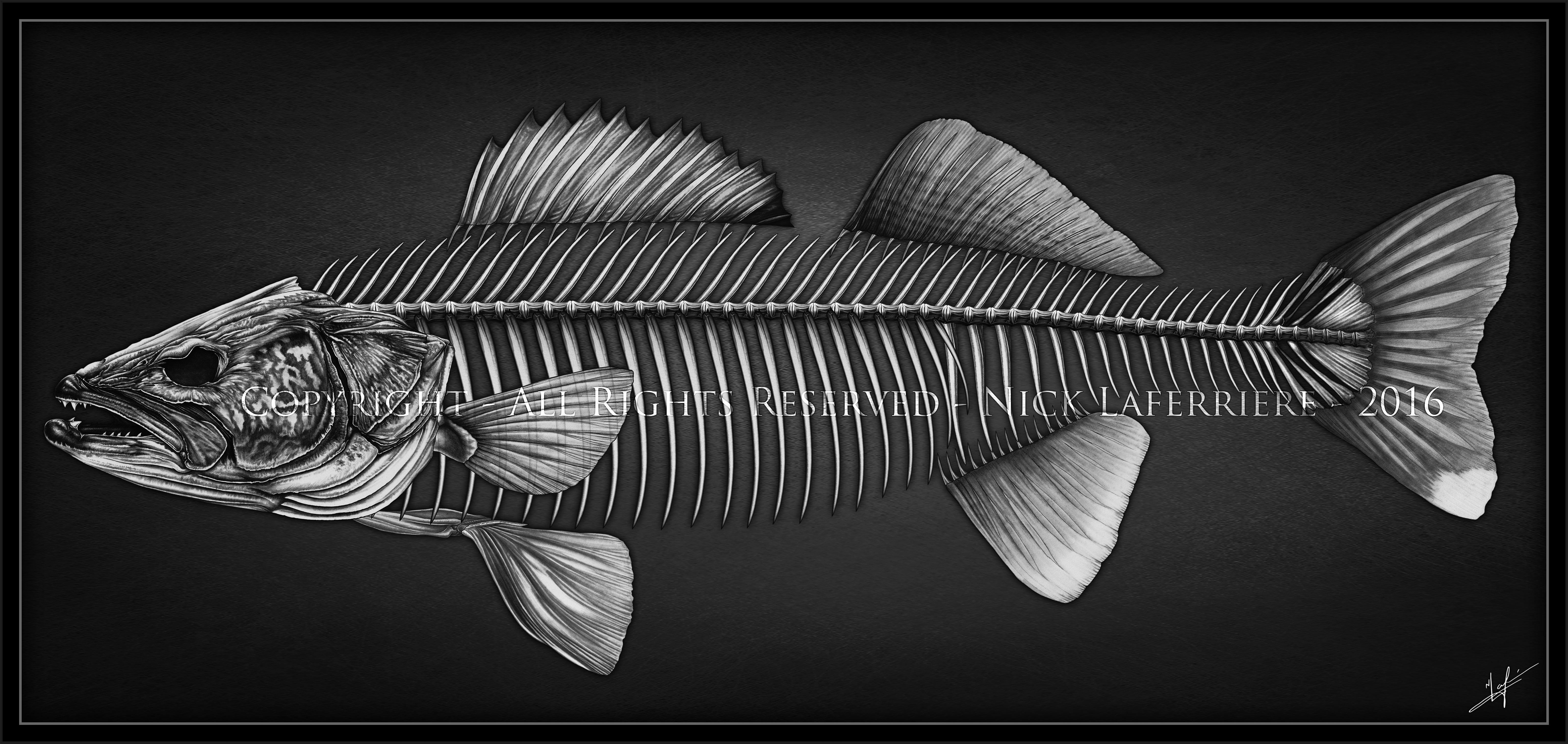 Walleye Skeleton print copyright