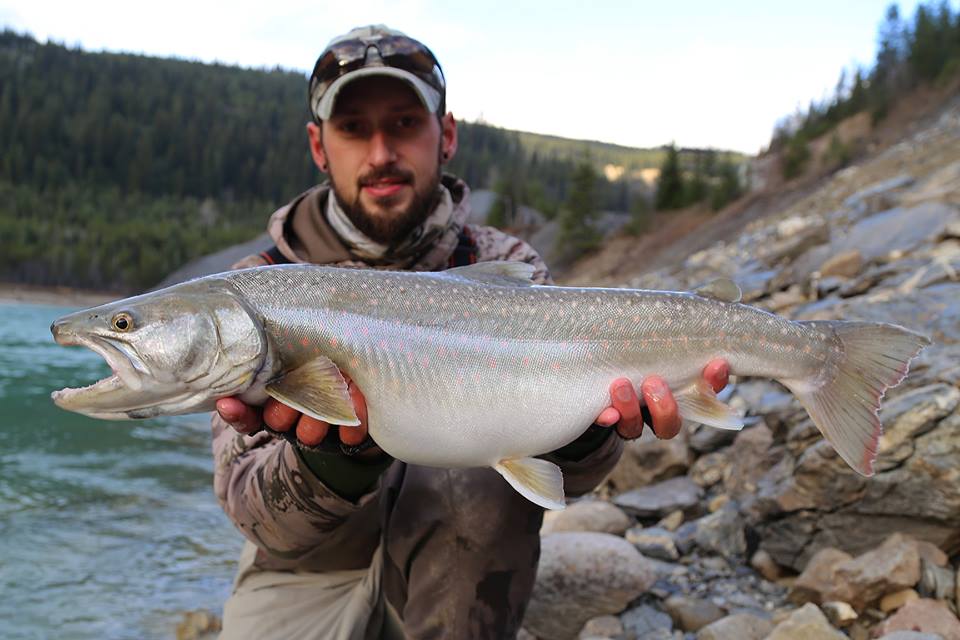 12144791_442499002625651_5446736282476640880_n