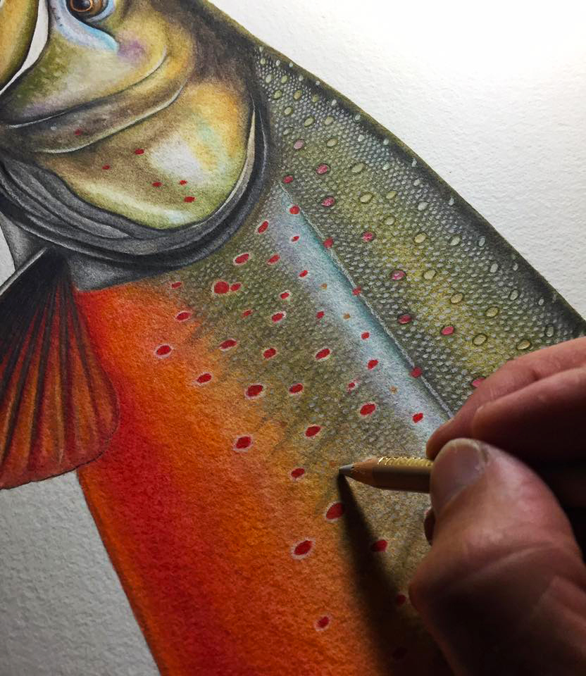 13344556_10153481766267237_8238993182287850328_n