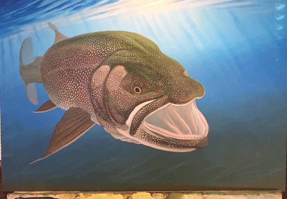 24775225_10154849313592237_8479833584237920947_n