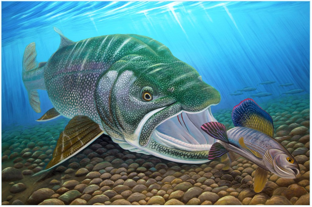 Laker Grayling Painting