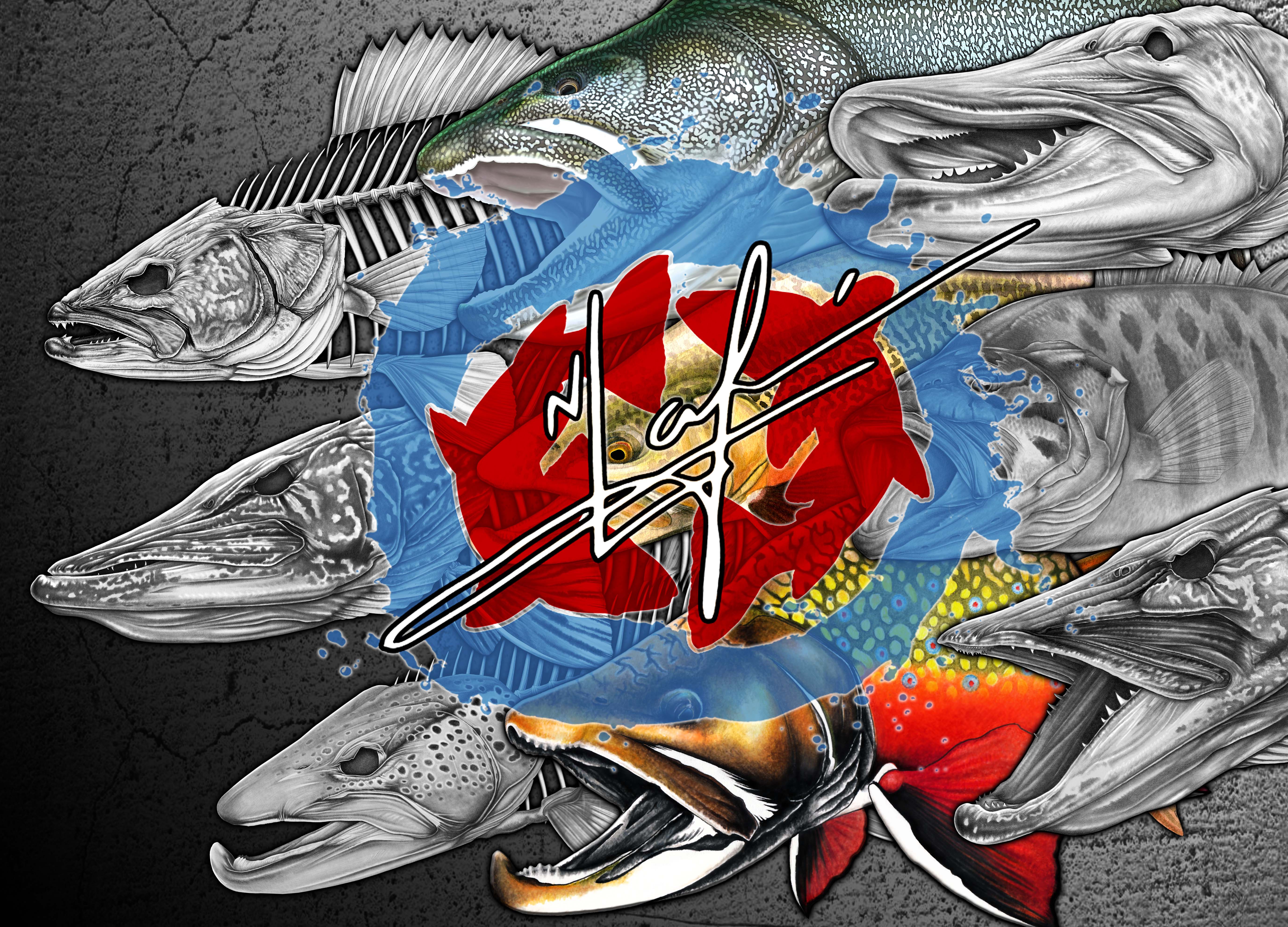 Digital Downloads promo