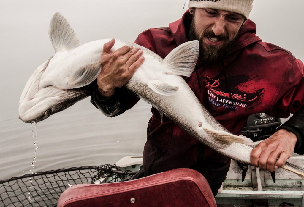 Arctic Fishing Guiding Days